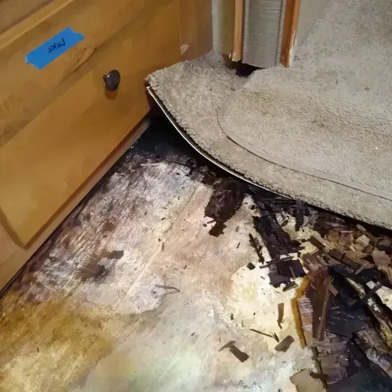 Best Wood Floor Water Damage Service in Grandview Heights, OH